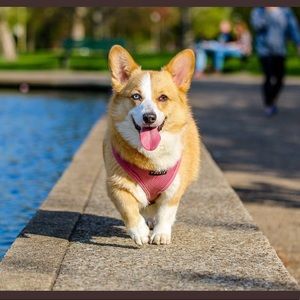 Meet your Posher, Aimee